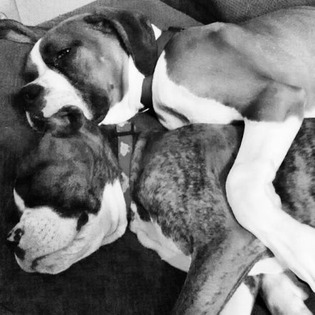 IMG_20170702_094433_750